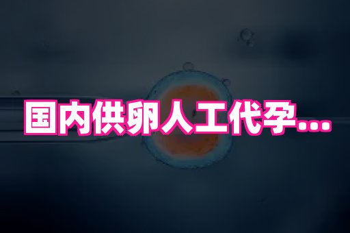 长沙助孕网 4